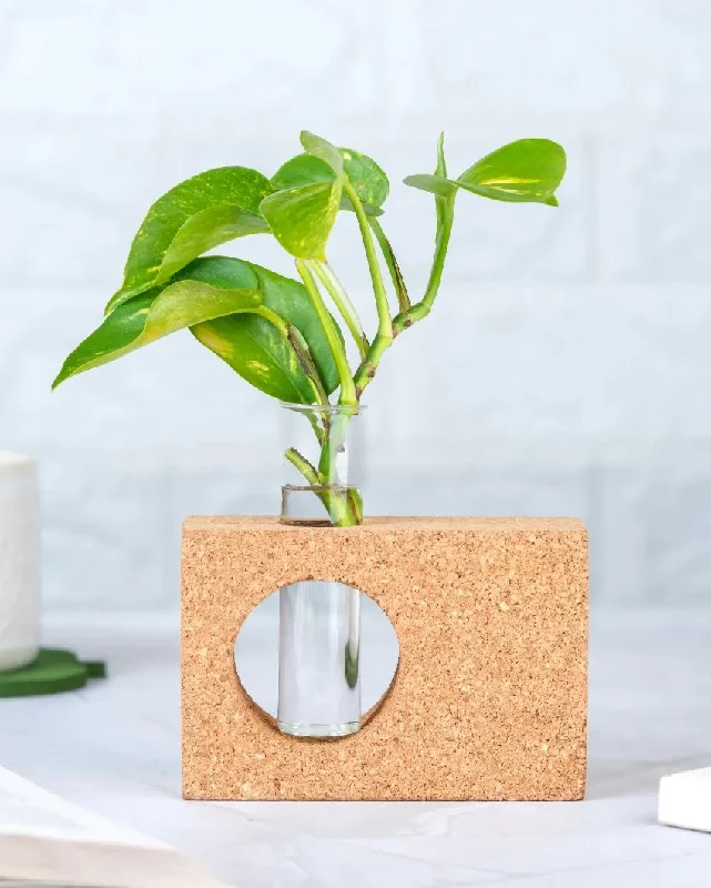 Bohemian loop wall decor-Minimal Cork Table Test Tube Planter Vase | Plant Not Included | 5 x 2 x 3 inches