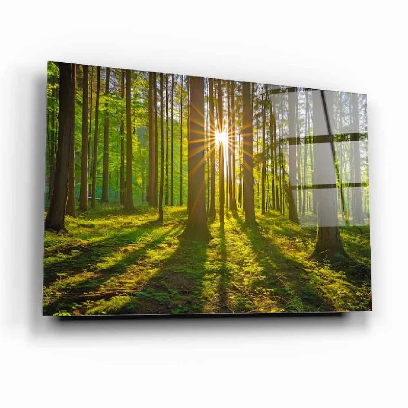 Scandinavian birch wall clock-Sunlit Forest Glass Wall Art