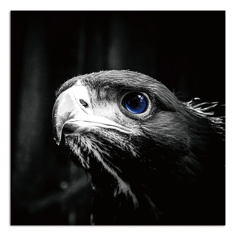 Bohemian braid wall hanging-Blue Eye Eagle Acrylic Print Unframed Wall Art