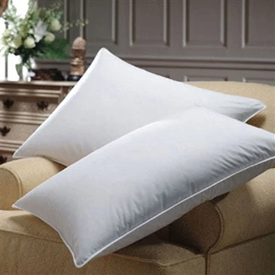 Warm microfiber throw blanket-Standard/Queen 500 Thread count Firm Goose Down filled Pillow